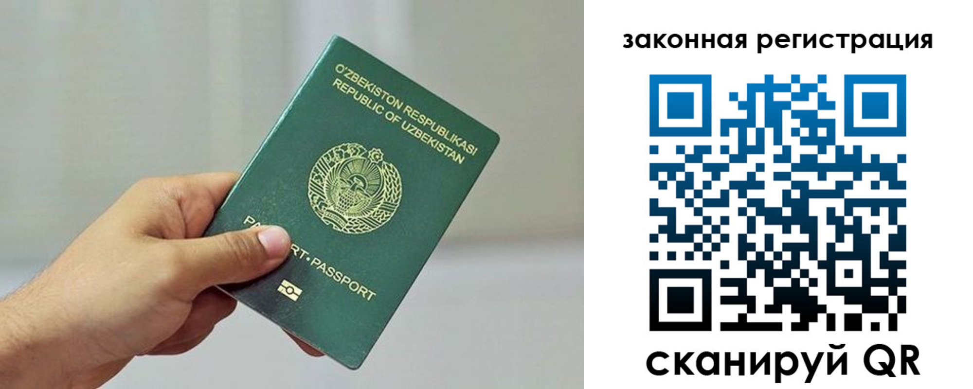 временная регистрация гарантия в Бавлах